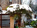нажмите, чтобы увеличить фото
