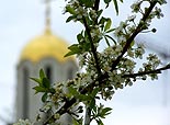 нажмите, чтобы увеличить фото